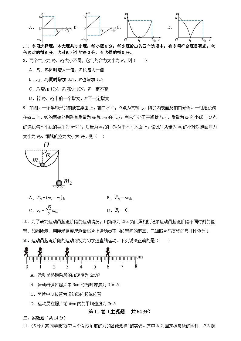 广东省广州市广雅中学2024-2025学年高一上学期期中考物理试卷第3页