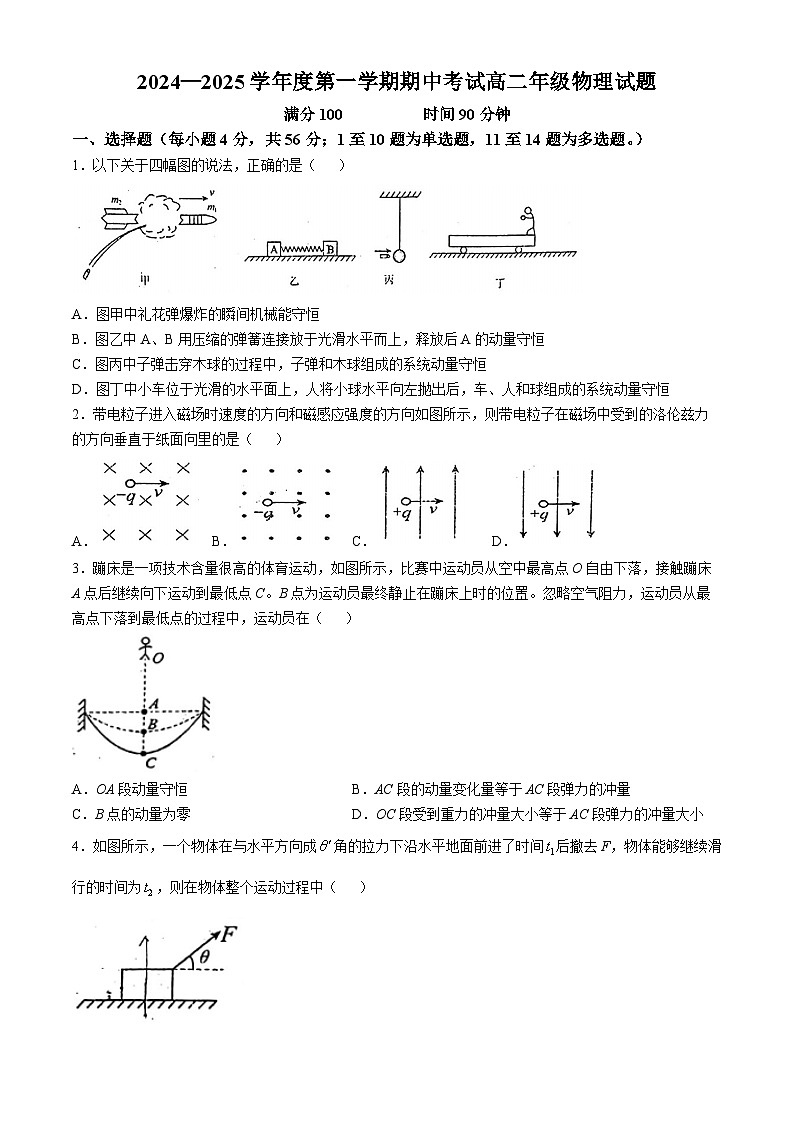 陕西省西安高新第三中学2024-2025学年高二上学期期中考试物理试题(无答案)第1页