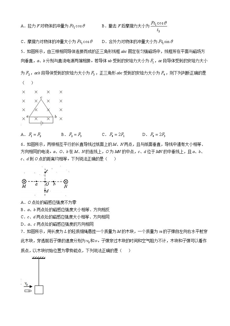陕西省西安高新第三中学2024-2025学年高二上学期期中考试物理试题(无答案)第2页