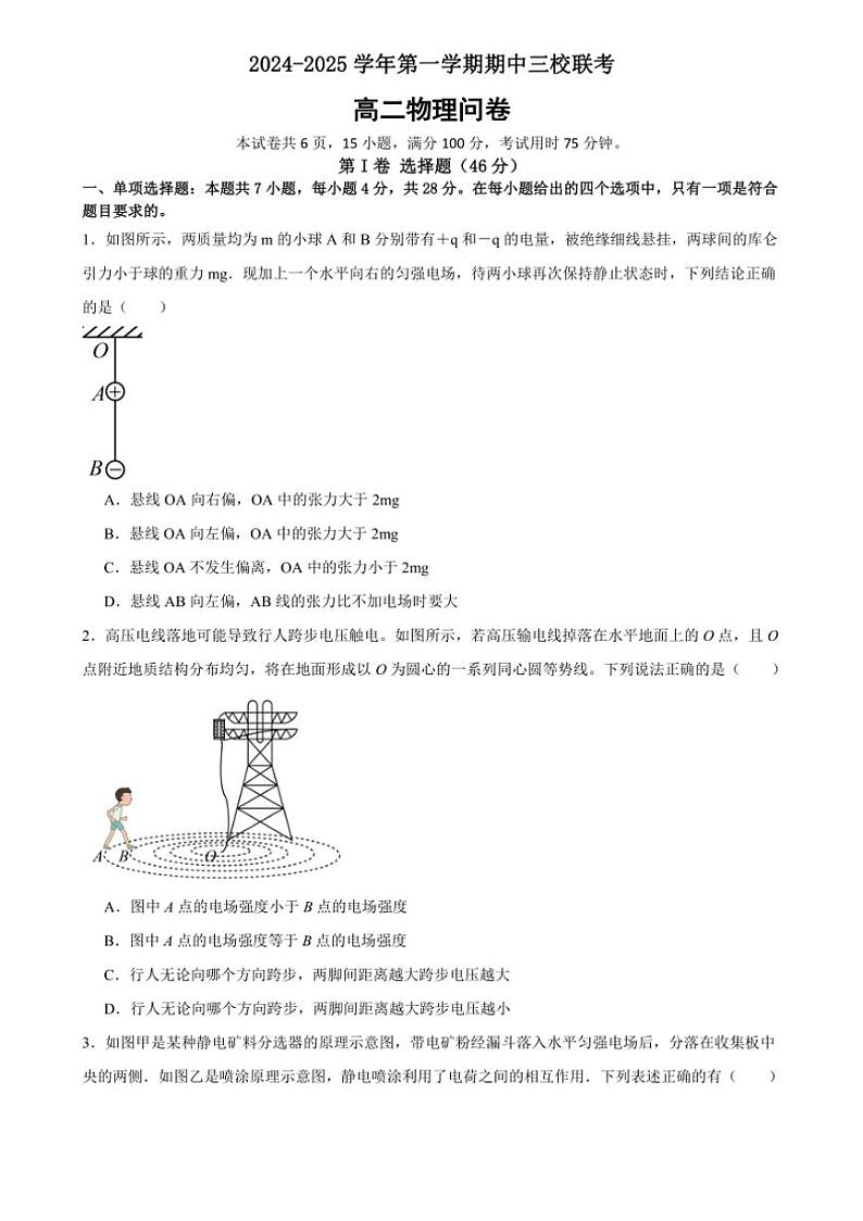 广东省广州市三校联考2024～2025学年高二上学期期中考试物理试题（广大附、铁一、广外）（含解析）第1页