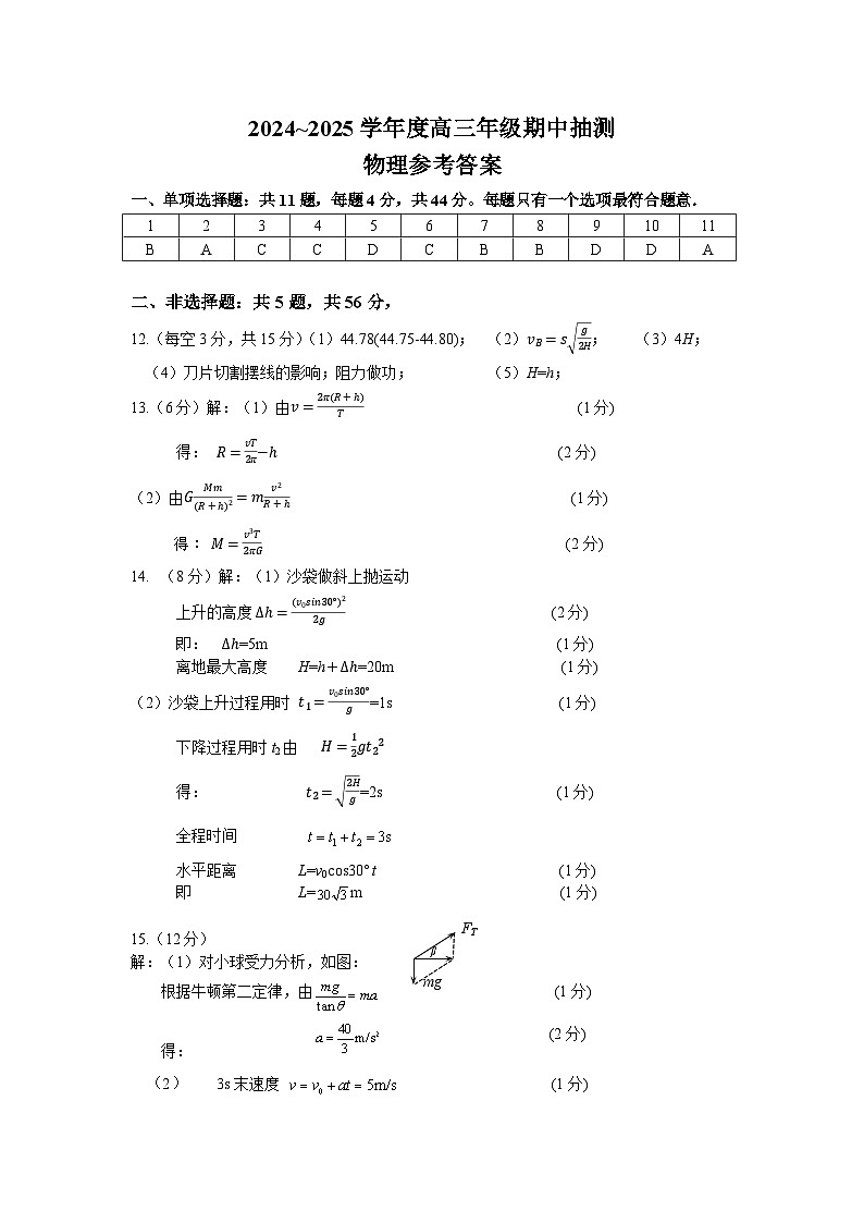 江苏省徐州市2024-2025学年高三上学期11月期中考试物理试题01