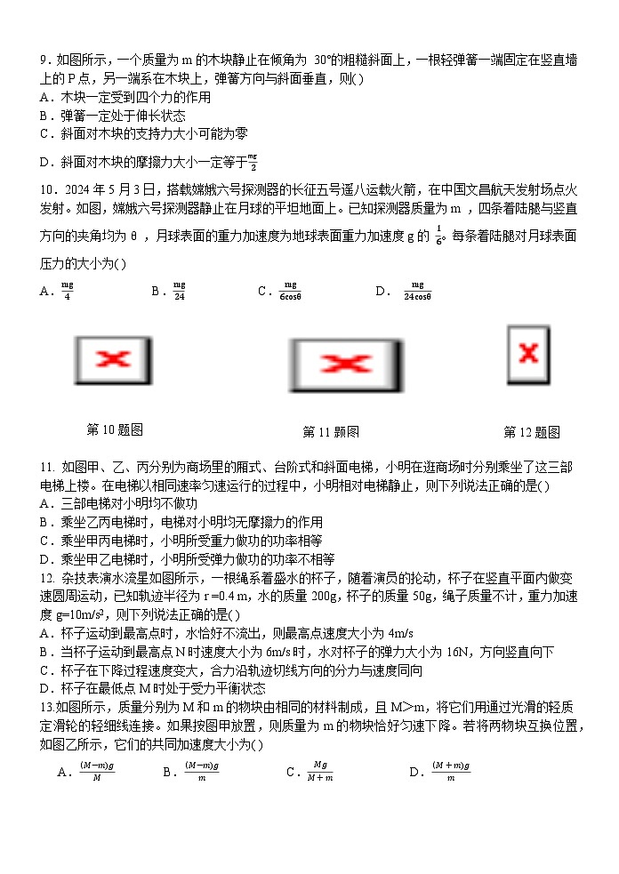 浙江省浙东北联盟（ZDB）2024-2025学年高一上学期期中考试（AP）班物理试卷第3页
