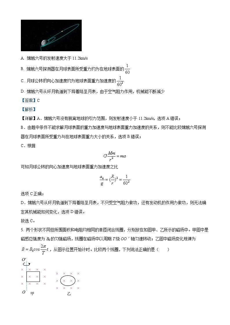 2025届浙江省衢丽湖三地市高三上学期一模联考物理试题含解析第3页