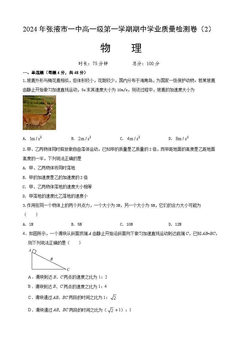甘肃省张掖市第一中学2024-2025学年高一上学期11月期中物理试题01