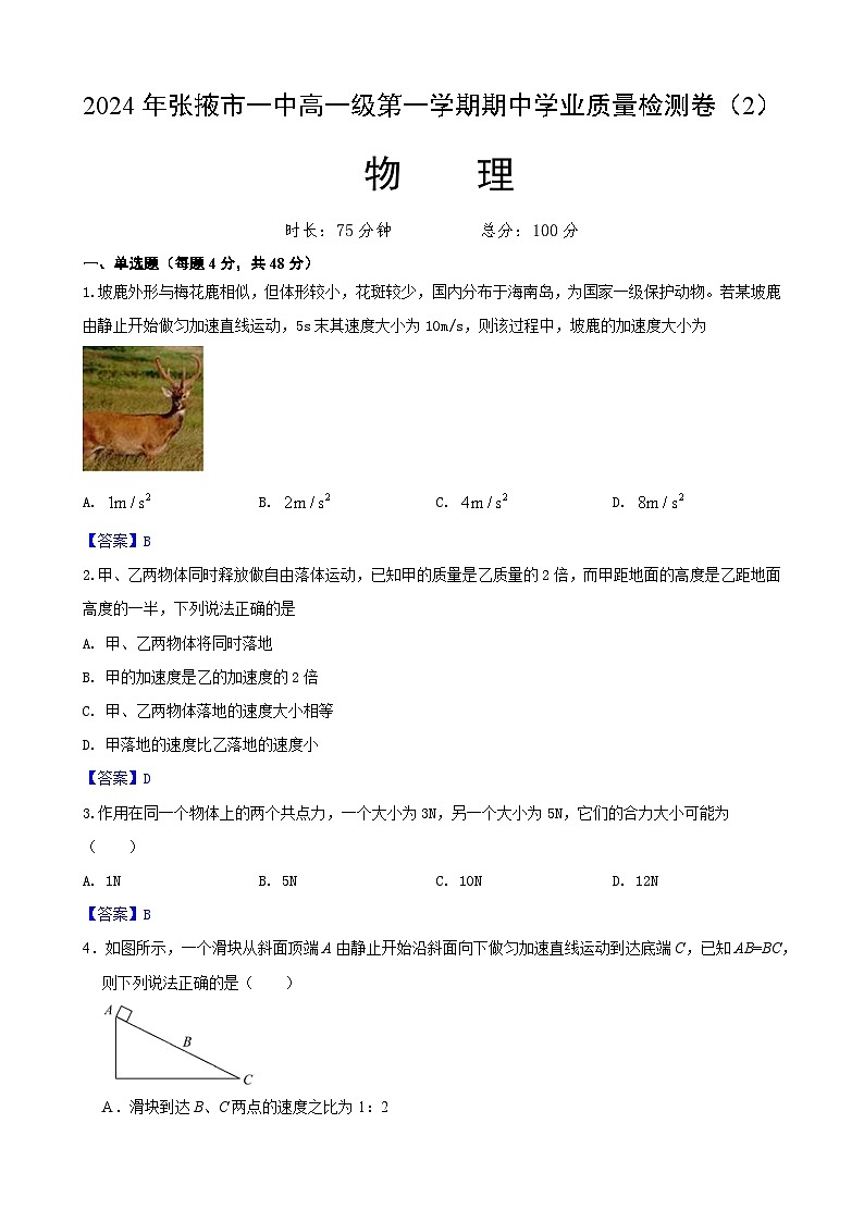 甘肃省张掖市第一中学2024-2025学年高一上学期11月期中物理试题01