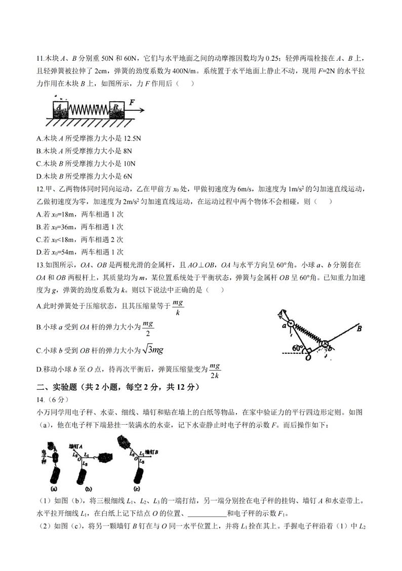 物理-东北师大附中学2024年高一上学期期中考试第3页