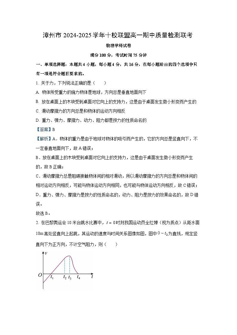 福建省漳州市漳州十校联盟2024-2025学年高一上学期11月期中物理试卷（解析版）第1页