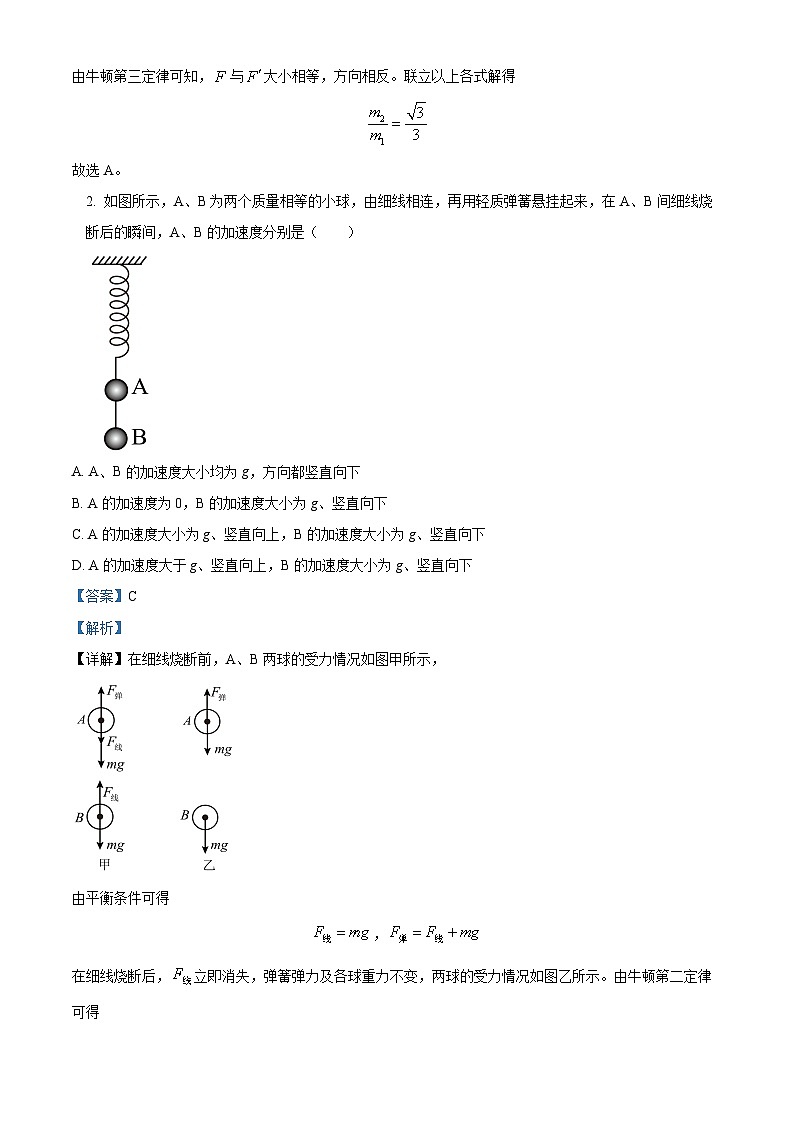 解析：天津市红桥区2024-2025学年高三上学期期中物理试题（解析版）02