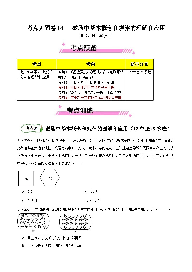 考点巩固卷14 磁场中基本概念和规律的理解和应用（原卷版）第1页