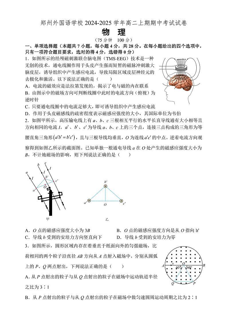 河南省郑州市郑州高新技术产业开发区郑州外国语学校2024～2025学年高二(上)期中物理试卷(含答案)第1页