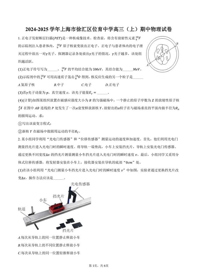 2024～2025学年上海市徐汇区位育中学高三(上)期中物理试卷(含答案)第1页