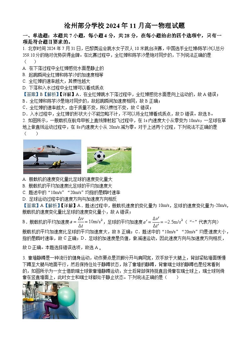 河北省沧州市部分学校2024-2025学年高一上学期11月考试物理试题01