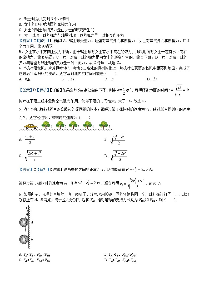 河北省沧州市部分学校2024-2025学年高一上学期11月考试物理试题02