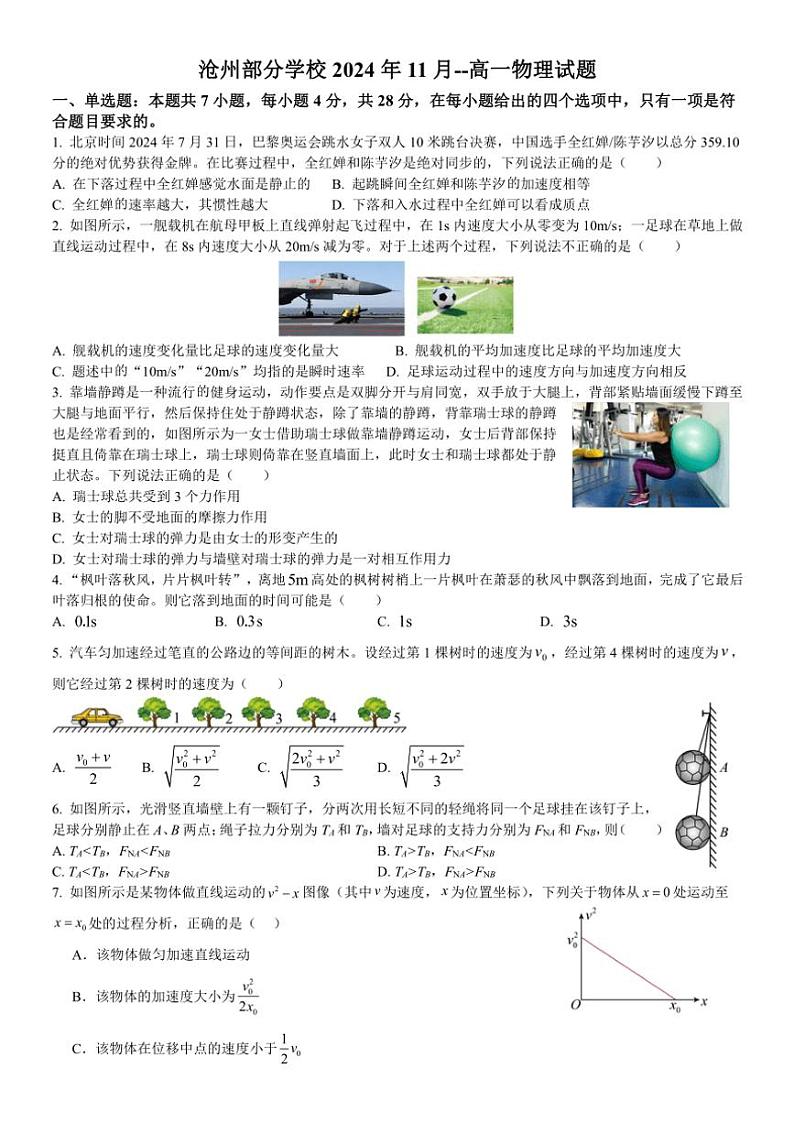 河北省沧州市部分学校2024～2025学年高一(上)11月考试物理试卷(含解析)第1页