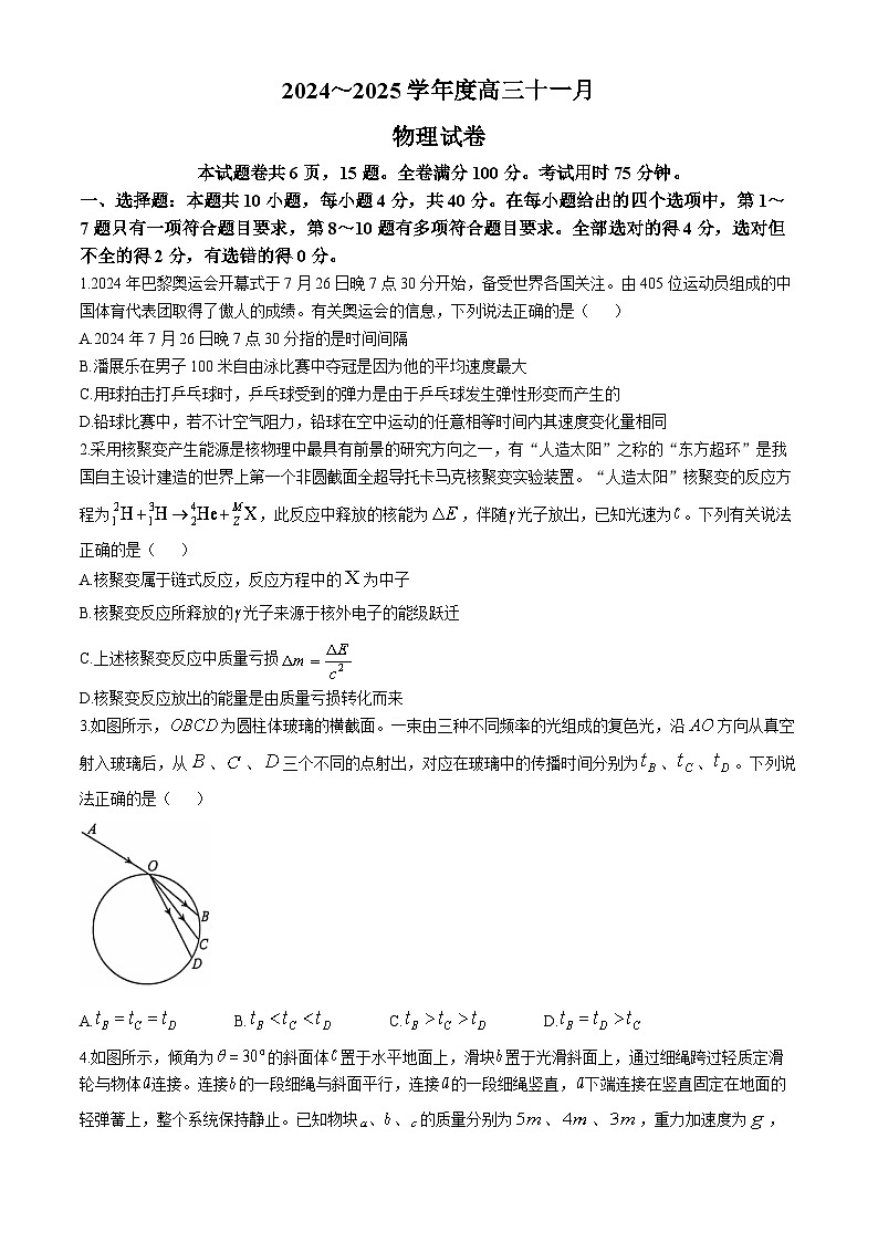 2025武汉江岸区高三上学期11月调考试题物理含答案第1页