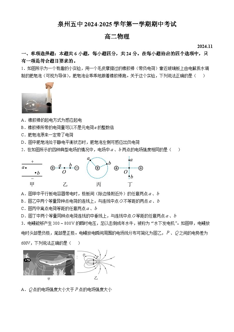 福建省泉州市泉港区第五中学2024-2025学年高二上学期11月期中考试物理试题第1页