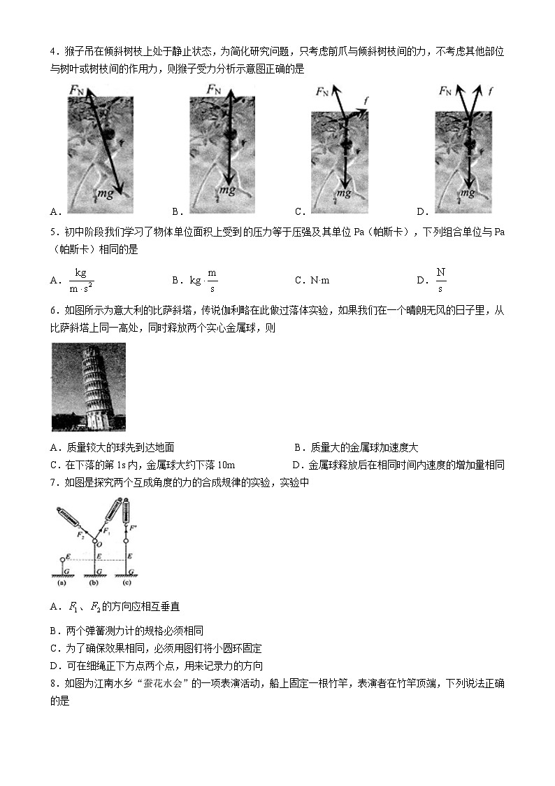 江苏省扬州市高邮市2024-2025学年高一上学期11月期中物理试题第2页
