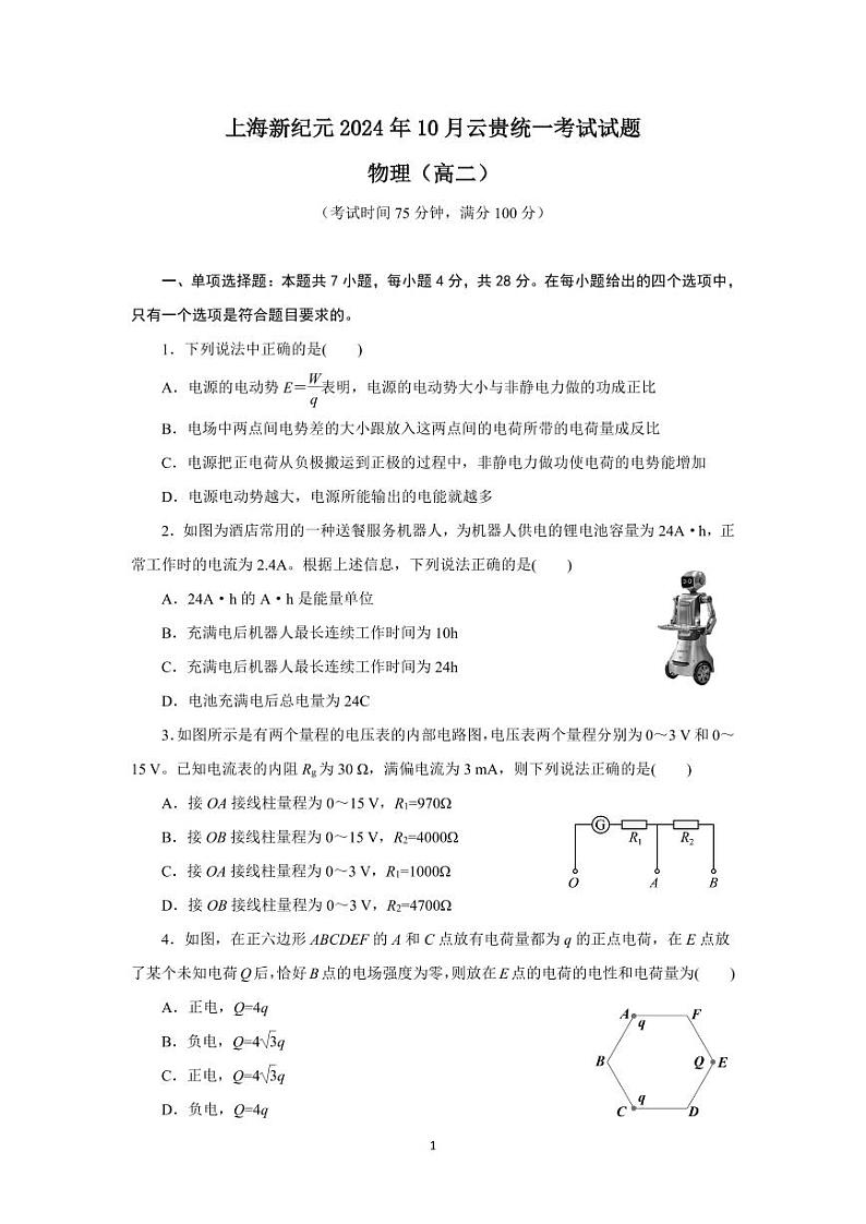 云南省文山壮族苗族自治州富宁上海新纪元外国语学校2024-2025学年高二上学期期中考试物理试卷第1页