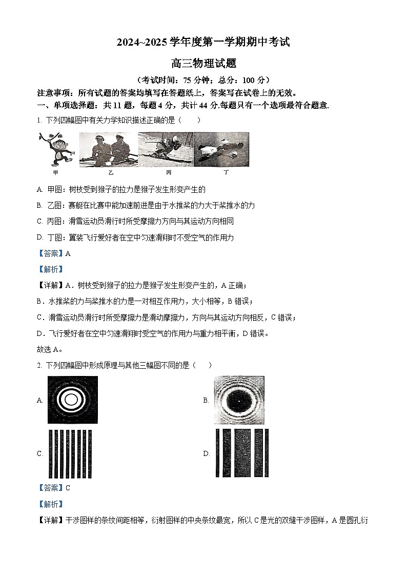 江苏省泰州市泰兴市2024-2025学年高三上学期11月期中联考物理试题  Word版含解析第1页