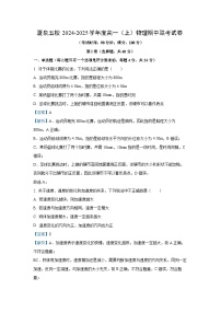 2024-2025学年福建省厦泉五校校联考高一(上)11月期中物理试卷（解析版）