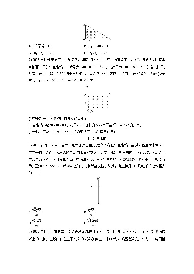 第一篇 专题三 第10练　磁场（专练）第3页