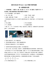 广东省潮州市松昌中学2024-2025学年高一上学期期中考试物理试题