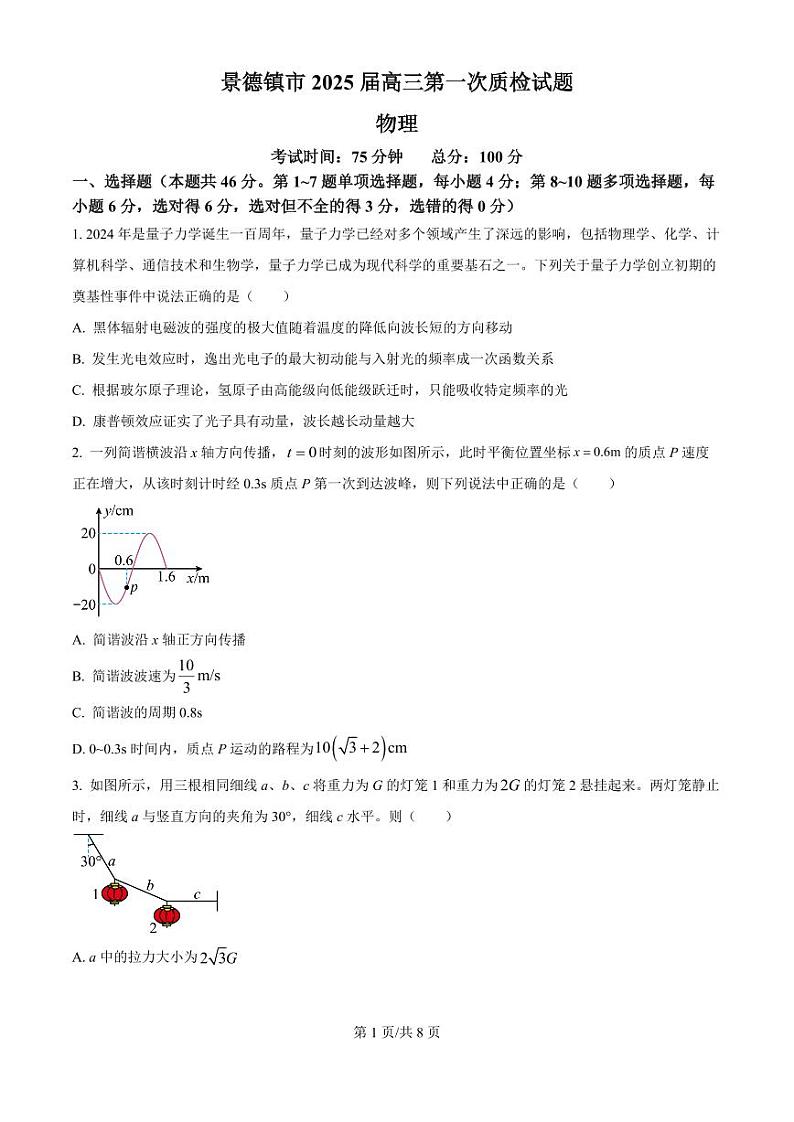 2025届江西省景德镇市高三上学期11月考-物理试卷+答案01