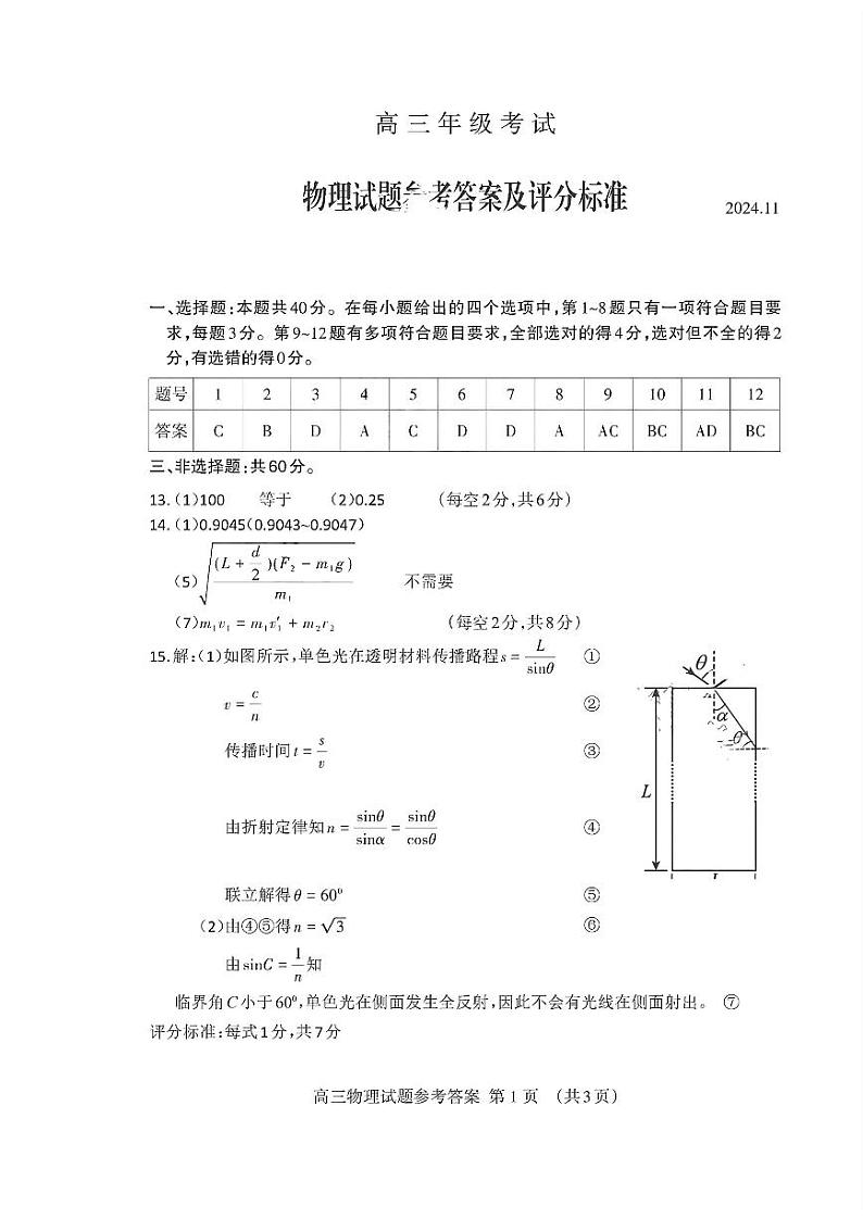 山东省泰安市2024-2025学年高三上学期11月期中考试物理01
