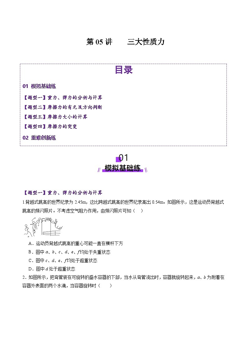 第05讲    三大性质力（练习）（原卷版）-2025年高考物理一轮复习讲练测（新教材新高考）第1页