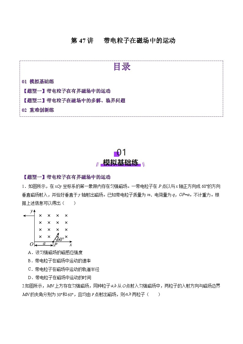 第47讲   带电粒子在磁场中的运动（练习）（原卷版）-2025年高考物理一轮复习讲练测（新教材新高考）第1页