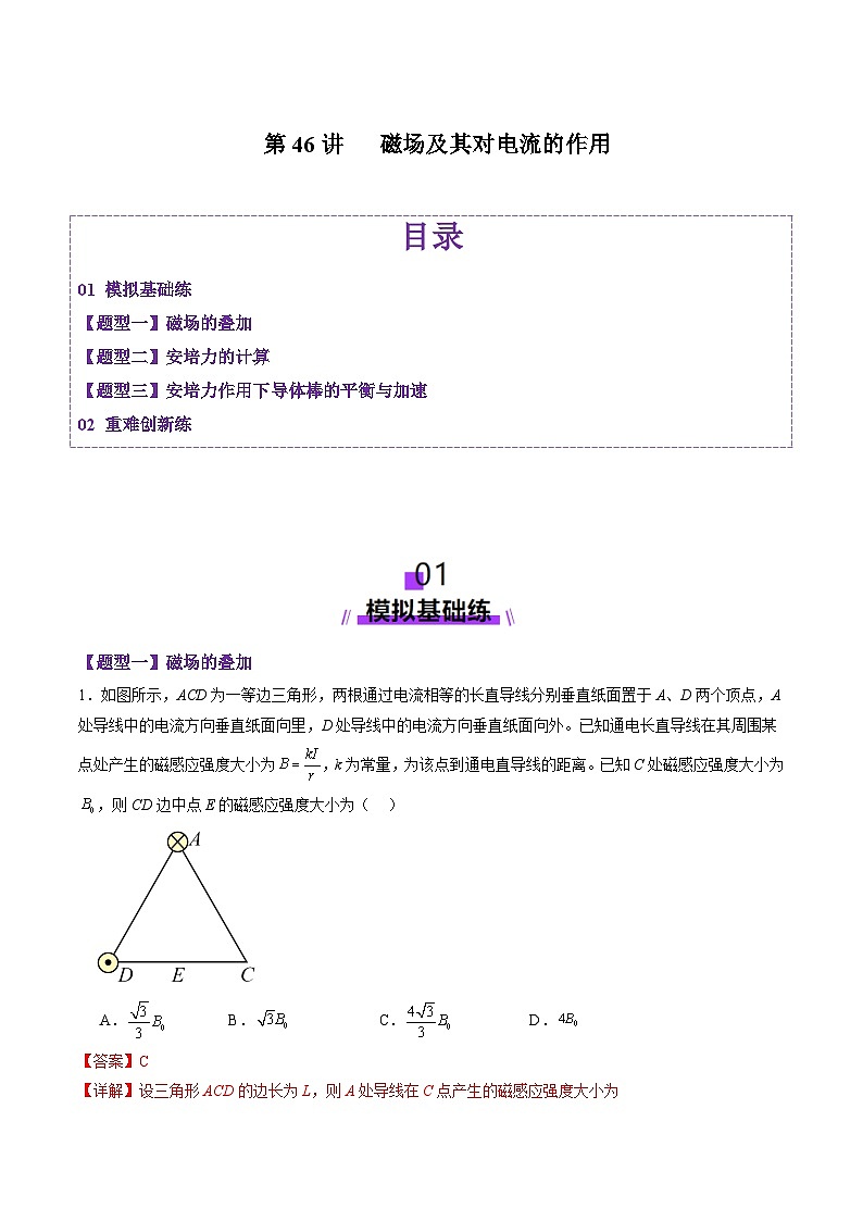 第46讲   磁场及其对电流的作用（练习）（解析版）-2025年高考物理一轮复习讲练测第1页