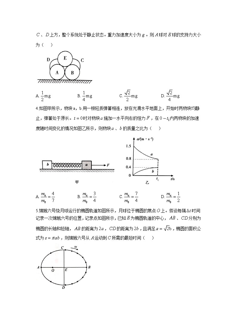 【山东卷】山东省泰安市2024-2025学年高三上学期11月期中考试（11.13-11.15）物理试卷第2页