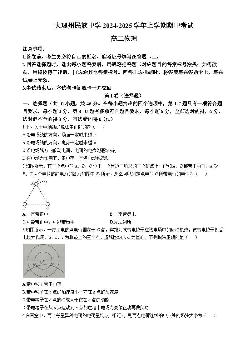 云南省大理白族自治州民族中学2024-2025学年高二上学期期中考物理试卷第1页