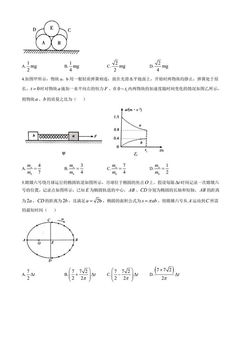 山东省泰安市2024～2025学年高三(上)期中物理试卷(含答案)第2页