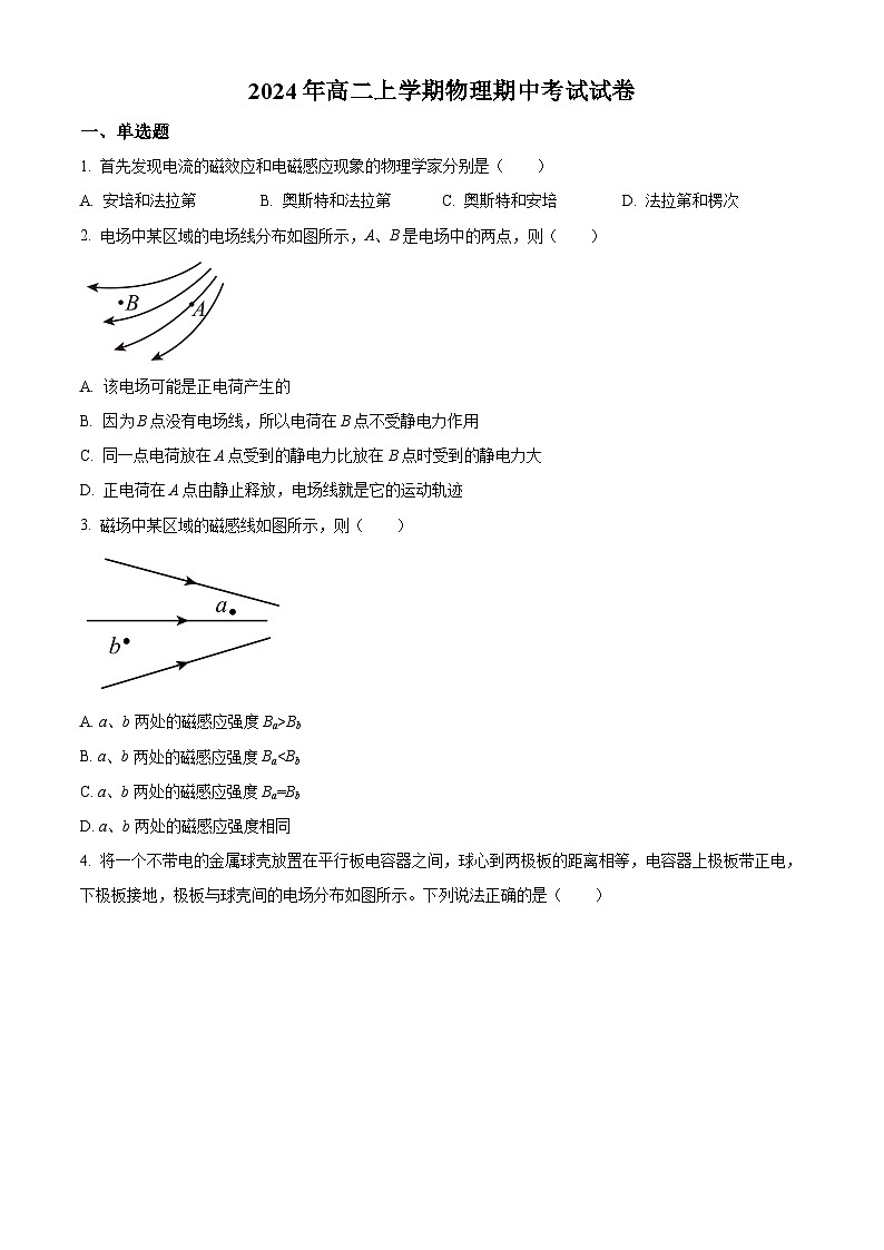 湖南省岳阳市临湘市2024-2025学年高二上学期11月期中物理试题无答案第1页