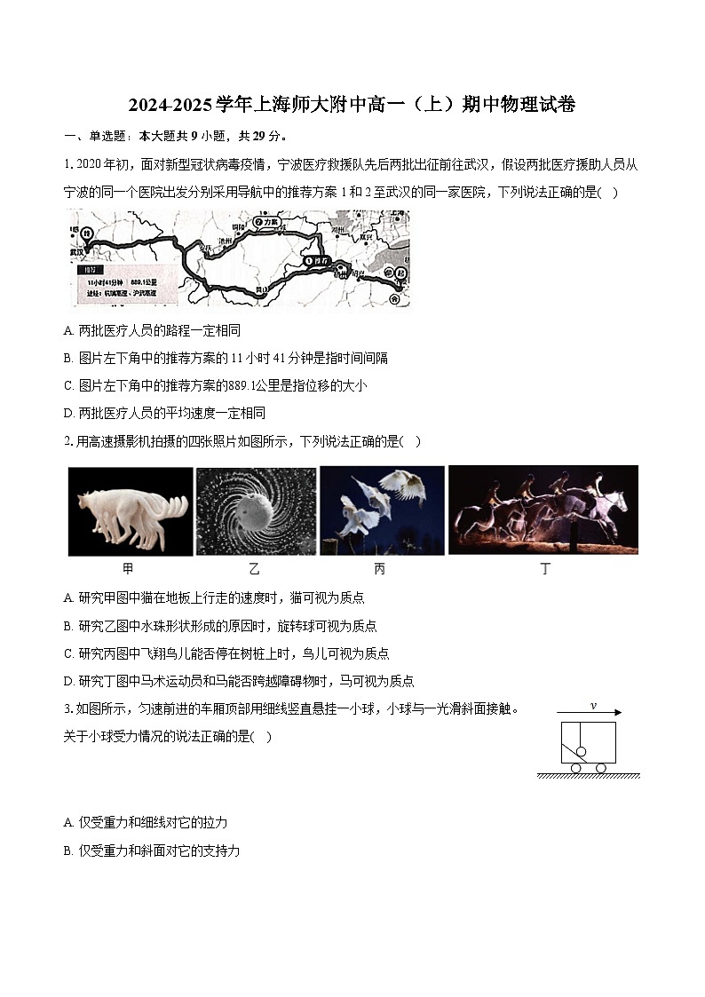 上海市上海师范大学附属中学2024-2025学年高一上学期期中物理试卷第1页