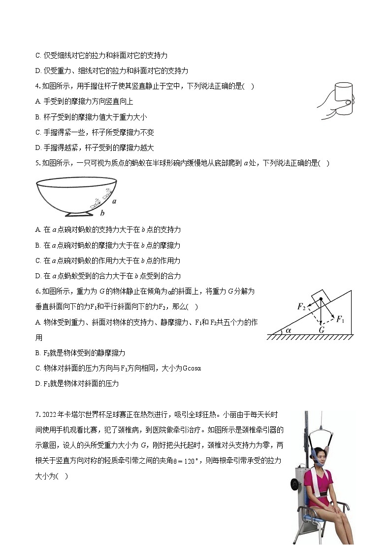 上海市上海师范大学附属中学2024-2025学年高一上学期期中物理试卷第2页