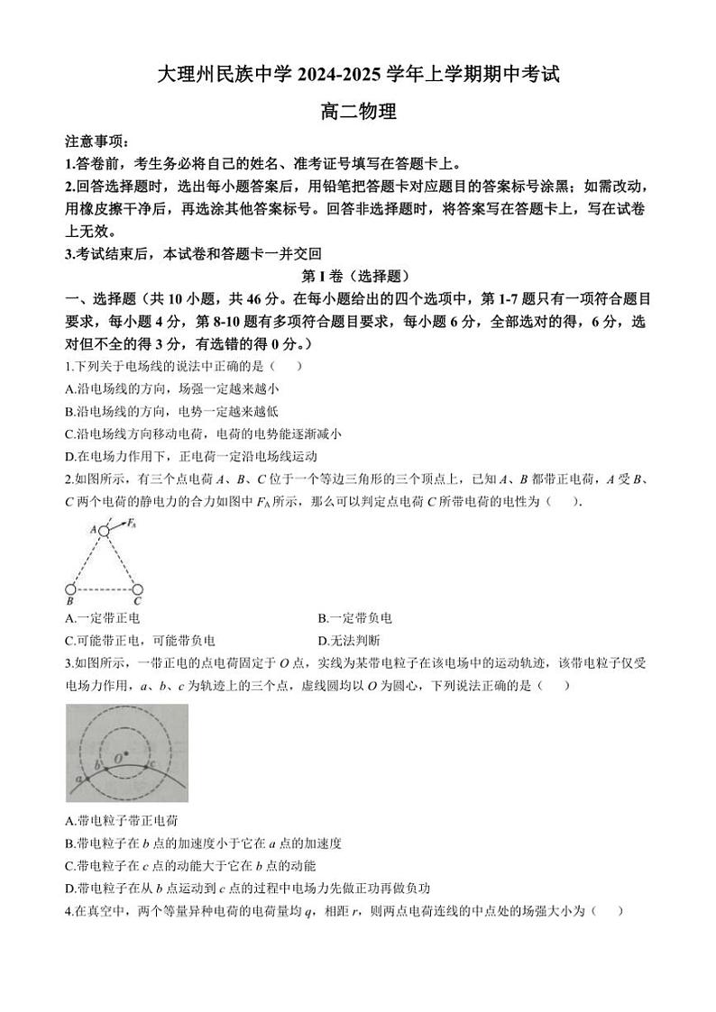云南省大理白族自治州民族中学2024～2025学年高二(上)期中考物理试卷(含解析)第1页