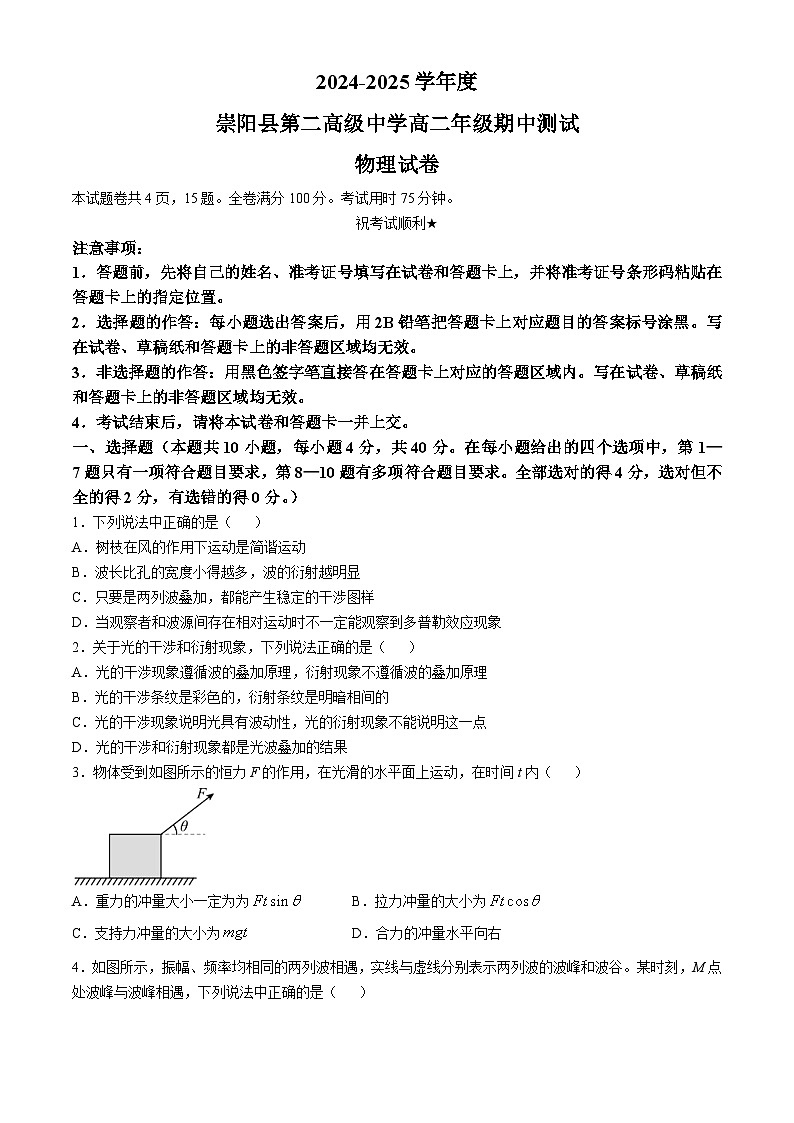 湖北省咸宁市崇阳县第二高级中学2024-2025学年高二上学期11月期中物理试题第1页