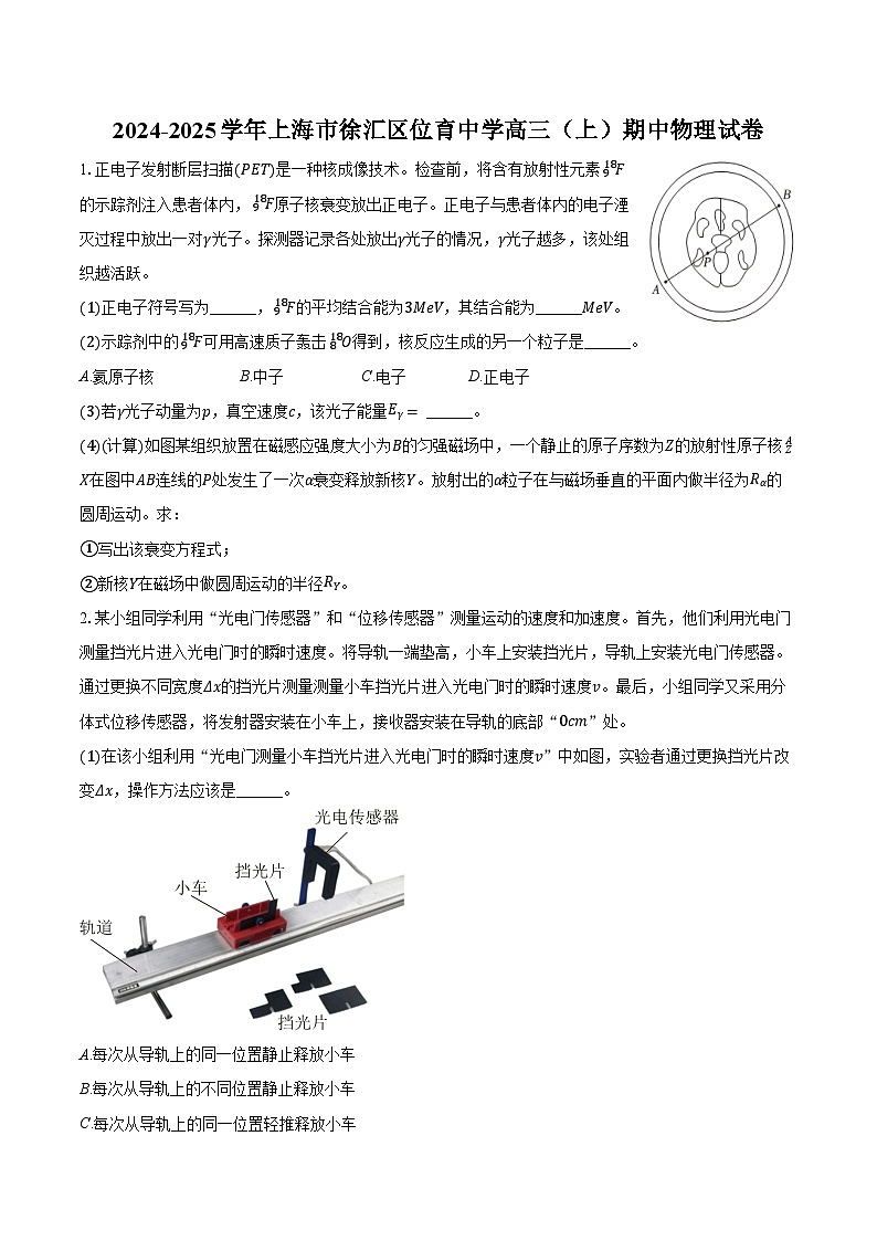 2024-2025学年上海市徐汇区位育中学高三（上）期中物理试卷（含答案）第1页