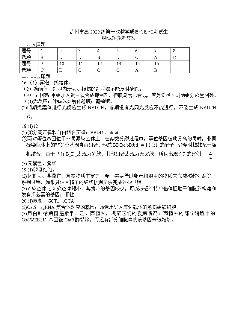 四川省泸州市高2022级第一次教学质量诊断性考试物理答案第1页