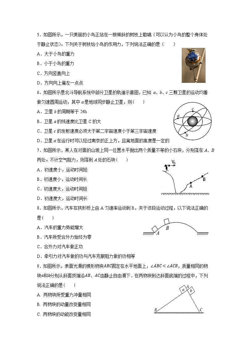 江苏省南京市协同体七校2024-2025学年高三上学期期中联合考试物理试题第2页