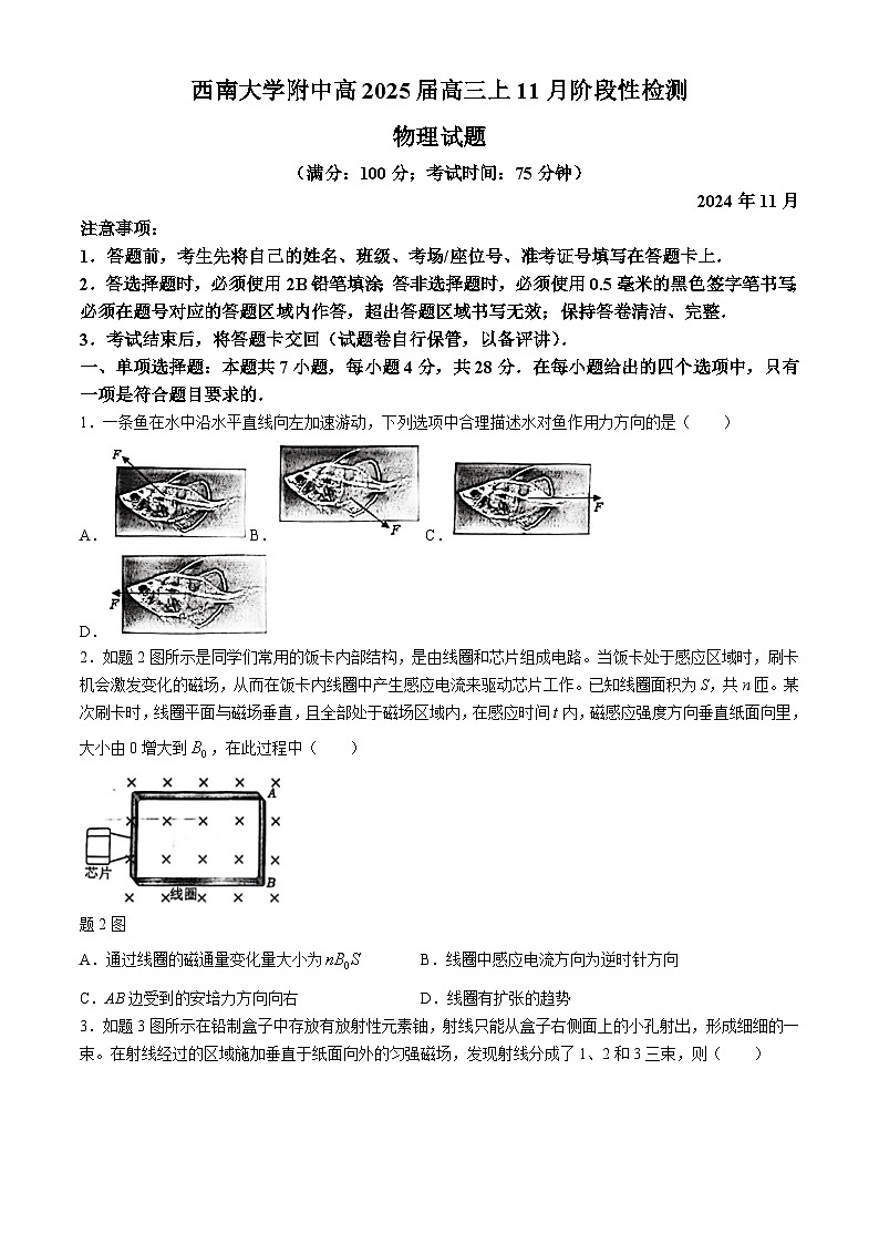 重庆市西南大学附属中学2024-2025学年高三上学期11月阶段性考试物理试卷(无答案)第1页