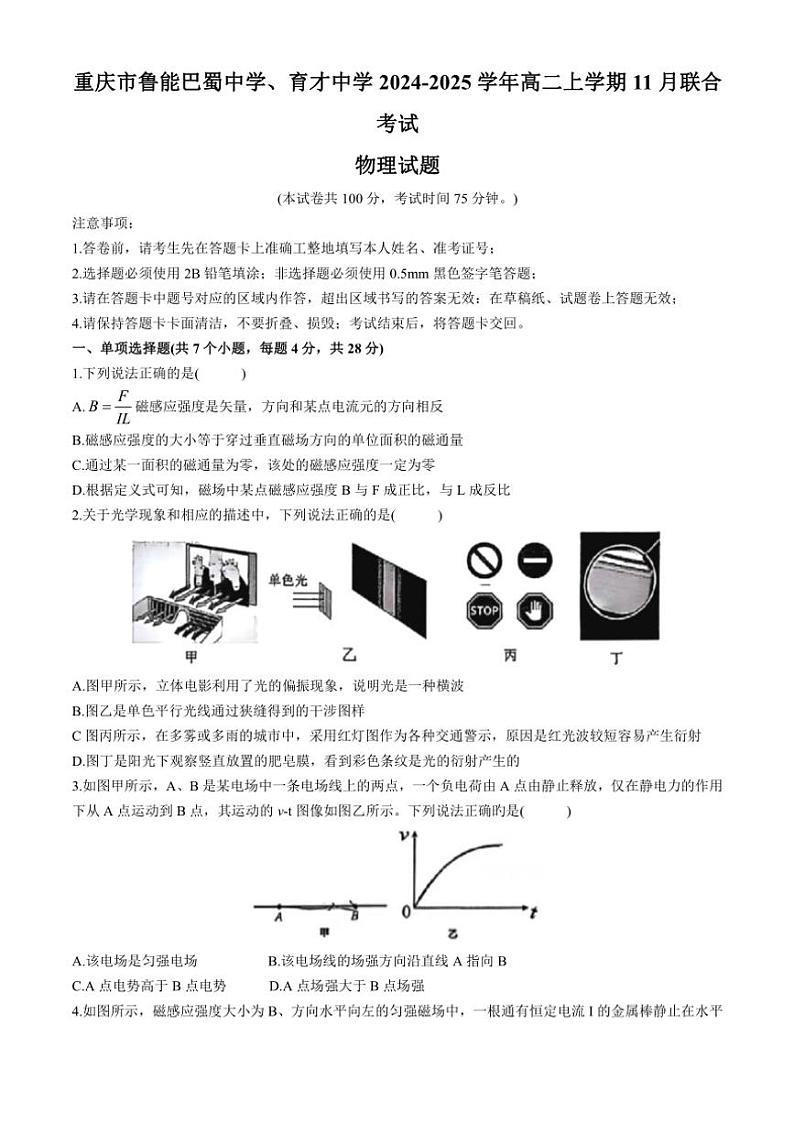 2024～2025学年重庆市鲁能巴蜀中学、育才中学高二(上)11月联合考试物理试卷(含答案)第1页
