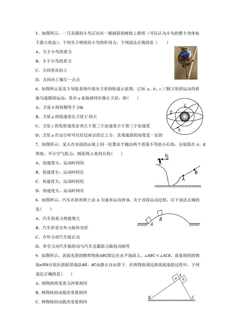 江苏省南京市协同体七校2025届高三上学期期中联考-物理试题+答案第2页