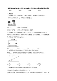 安徽省马鞍山市第二中学2025届高三上学期11月期中考试物理试卷(含答案)