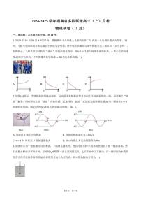 2024～2025学年湖南省多校联考高三(上)月考物理试卷(11月)(含答案)