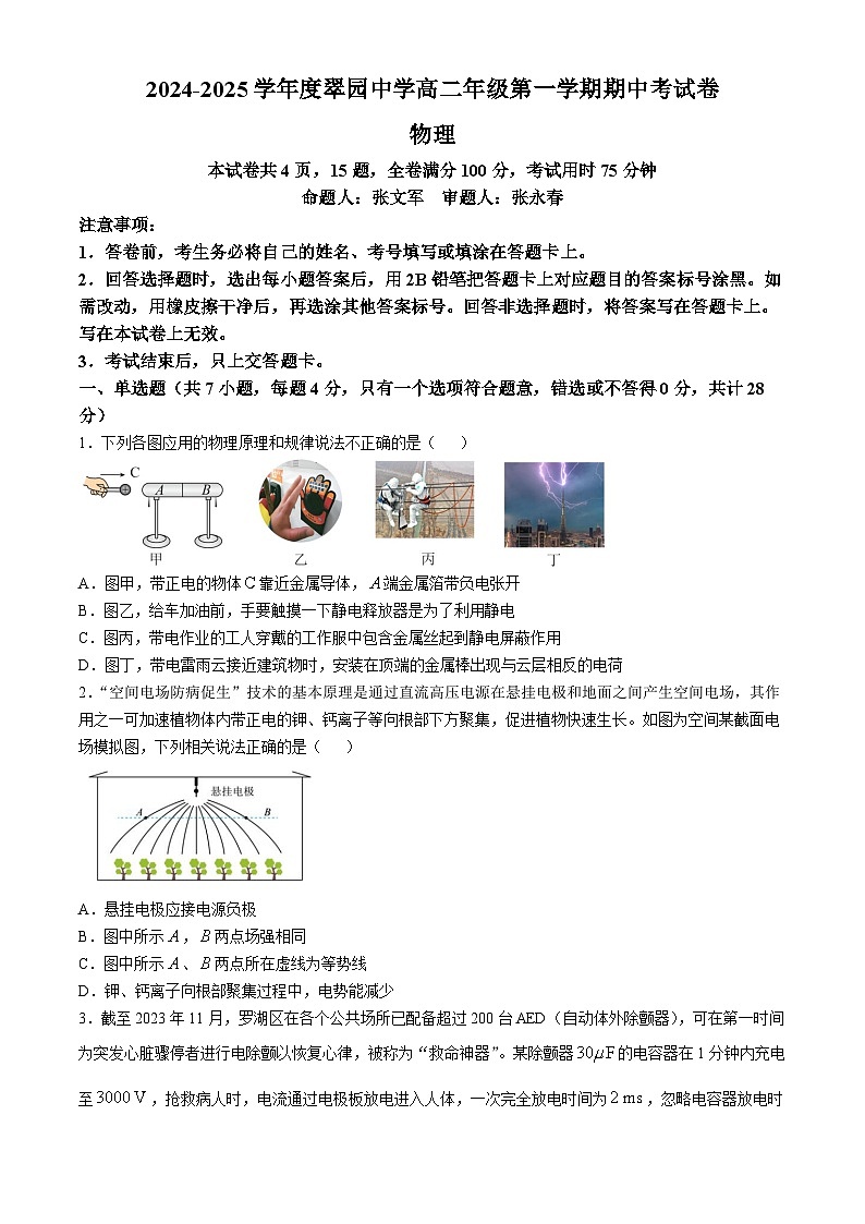 广东省深圳市翠园中学2024-2025学年高二上学期期中物理试卷(无答案)第1页