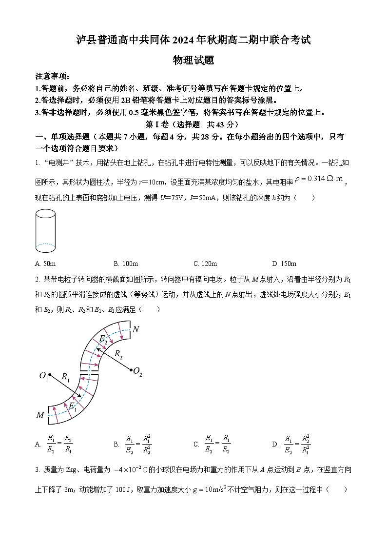 四川省泸州市泸县普通高中共同体2024-2025学年高二上学期11月期中统一联合考试物理试题无答案第1页