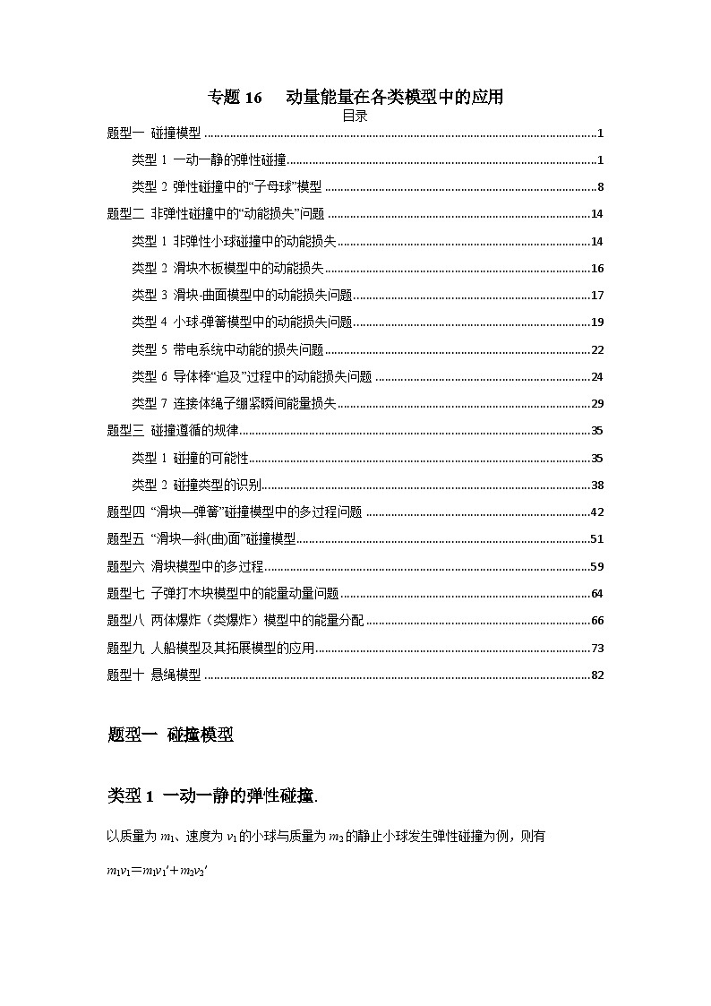 专题16   动量能量在各类模型中的应用（解析版）第1页